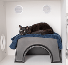 Ventilation for Feline Comfort Suite, Passive